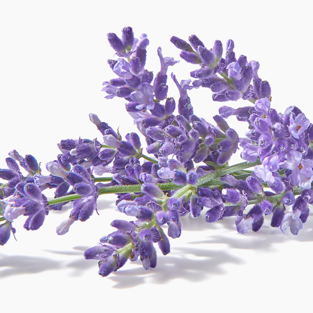 Avon Foot Works Deodorising Foot Spray with Lavender