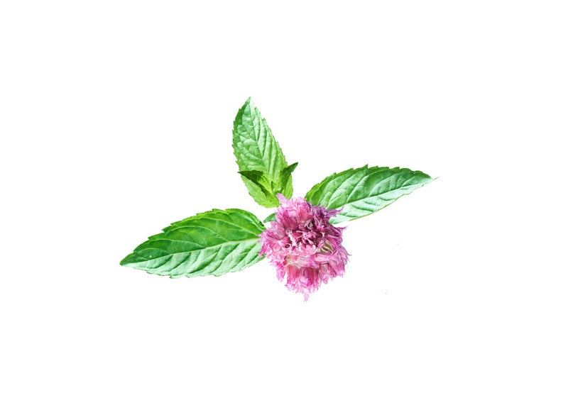 Avon Senses Water Mint Bubble Bath-1000ml